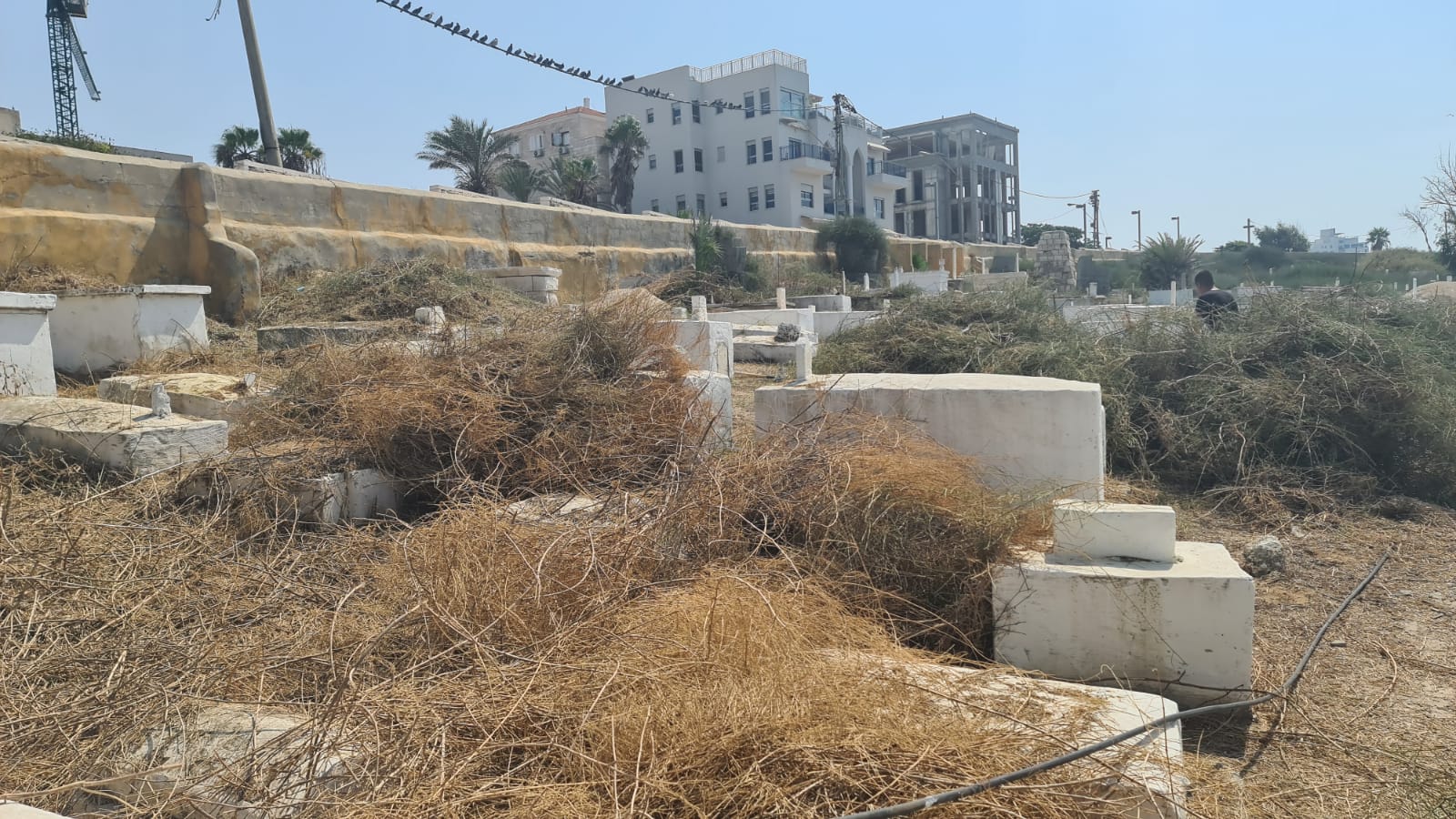 WhatsApp Image 2020-09-19 at 1.45.37 PM.jpeg.jpeg